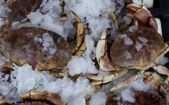 Crabs 2 790 xxx